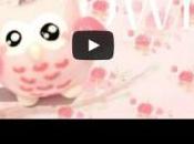Tuto vidéo Créer hibou kawaii