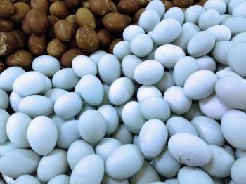 Pourquoi sont-ils bleus?