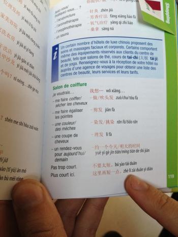 Do you speak Chinese ? Do you speak Chinese ?