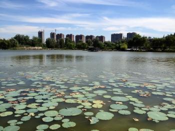 Une vie paisible Une vie paisible