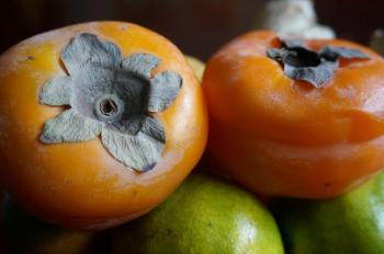 Le fruit national du Japon