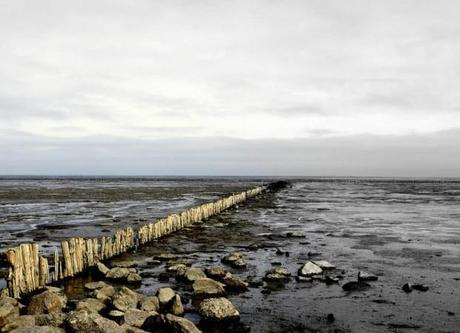ile_de_sylt_photo_reinhard.strempel