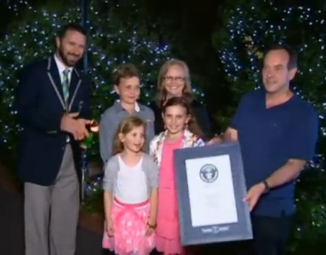 record decorations noel