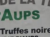 marché truffes saison