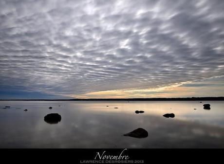 Novembre, les dernières…