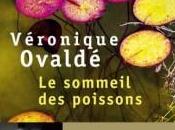 Déception abandon mois novembre