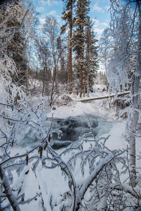 un des bras de Cameron Falls