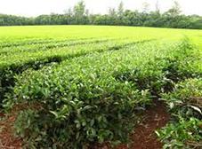 Sol à Sol*, une SCOP marseillaise porteuse de valeurs, créée par des femmes engagées ! images-1