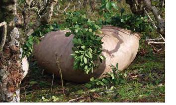 Sol à Sol*, une SCOP marseillaise porteuse de valeurs, créée par des femmes engagées ! Microsoft Word - Document3