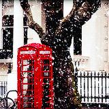 Rouge, vert et blanc : trio magique