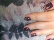 prune, couleur l'hiver