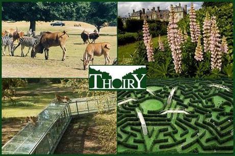 parc zoologique Thoiry 10 sites à visiter aux alentours de Paris 
