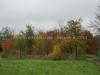 Couleurs d’automne vers Daumesnil