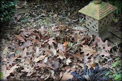 Trois petits derniers...