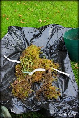 Trois petits derniers...