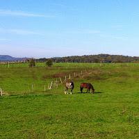 Trail&CO's training : 14 au 20 octobre