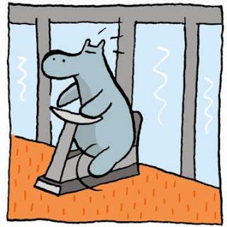 Trail&CO's training : 30 sept. au 6 oct.