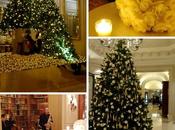 Féerie Noël George