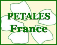 L’Attachement, ses défis et ses troubles – PETALES France