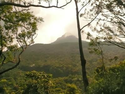 Sri Lanka : pèlerinage au Pic d'Adam