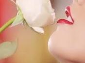 Ladyboy "Poyd" Petcharat conquête Hong Kong [HD]