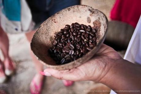 Chroniques de l'aventure guadeloupéenne #3 : Bouts de vie... gwada-124.jpg