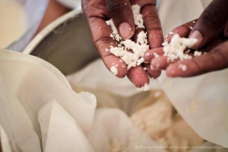 Chroniques de l'aventure guadeloupéenne #3 : Bouts de vie... gwada-61.jpg