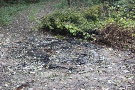 7 romi 14 octobre 2013 009.jpg