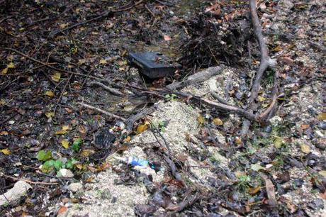 4 romi 5 oct 2013 004.jpg