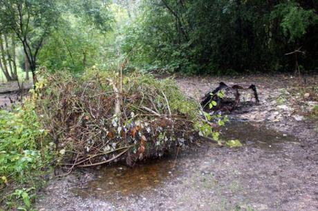 2 romi 5 oct 2013 007.jpg