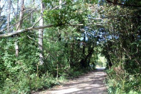 13 romi 1 oct 2012 002.jpg