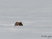 Je te vois… Me vois-tu?