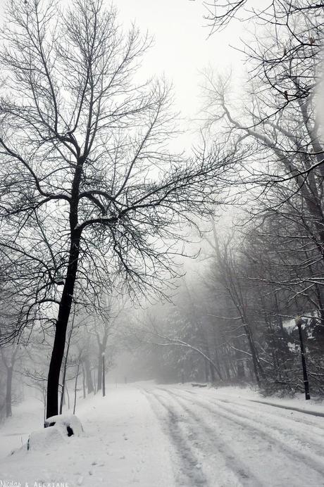 Il neige à Montréal