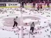 Pluie d'ours peluche