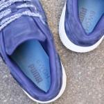 bwgh-puma-r698-bluefield-3