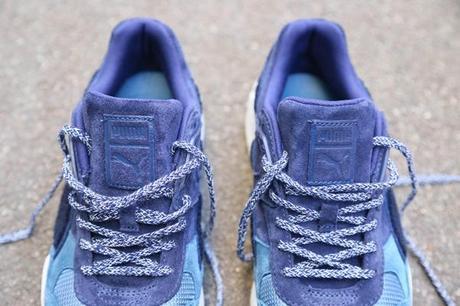 bwgh-puma-r698-bluefield-2