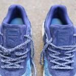 bwgh-puma-r698-bluefield-2