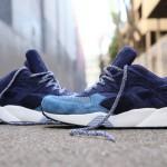 bwgh-puma-r698-bluefield