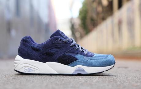 bwgh x puma r698