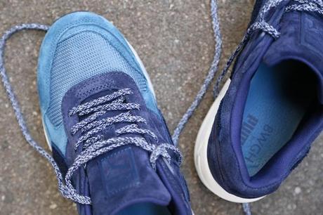 bwgh-puma-r698-bluefield-4