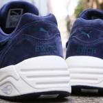 bwgh-puma-r698-bluefield-5