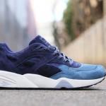 bwgh-puma-r698-bluefield-6