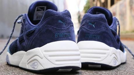 bwgh-puma-r698-bluefield-5
