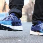 bwgh-puma-r698-bluefield-7
