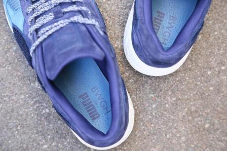 bwgh-puma-r698-bluefield-3
