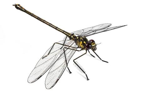 Edouard Martinet – Dragonfly – 37″ x 49″ x 15″  / steampunk sculpture art