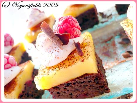 Rasperry brownies & Lemon Curd Jello Squares (vegan)