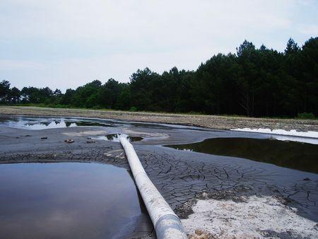 bassins_d_cantation_quinconces_andernos_mai_2008__2_