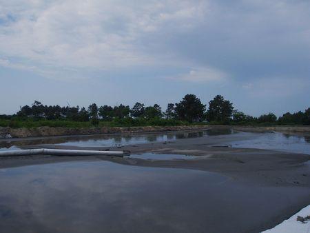 bassins_d_cantation_quinconces_andernos_mai_2008__8_