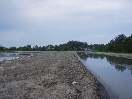 bassins_d_cantation_quinconces_andernos_mai_2008__6_